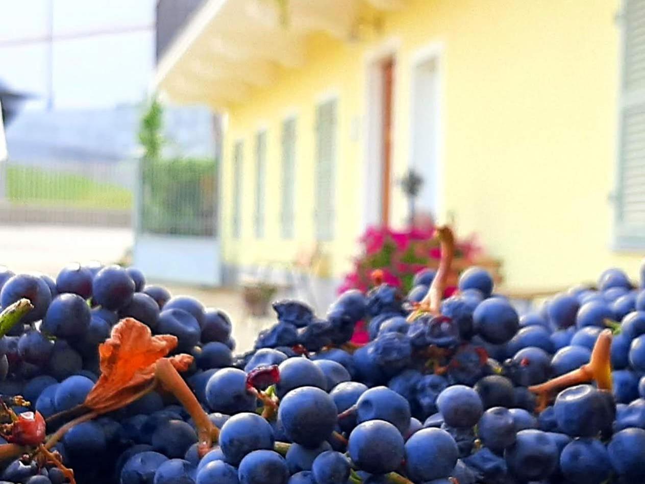 Ciabot Delle Aie - Barolo Lejlighed Eksteriør billede