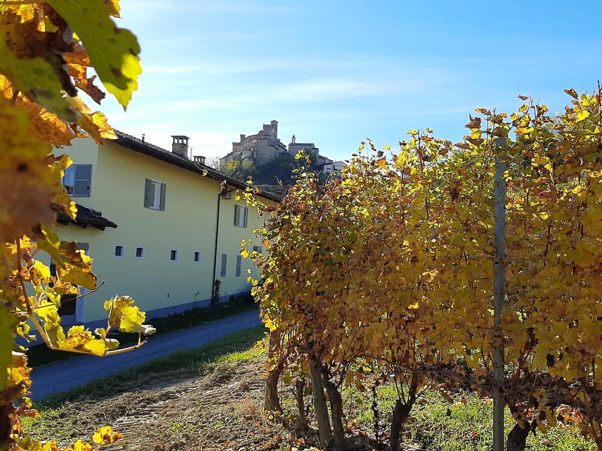 Ciabot Delle Aie - Barolo Lejlighed Eksteriør billede